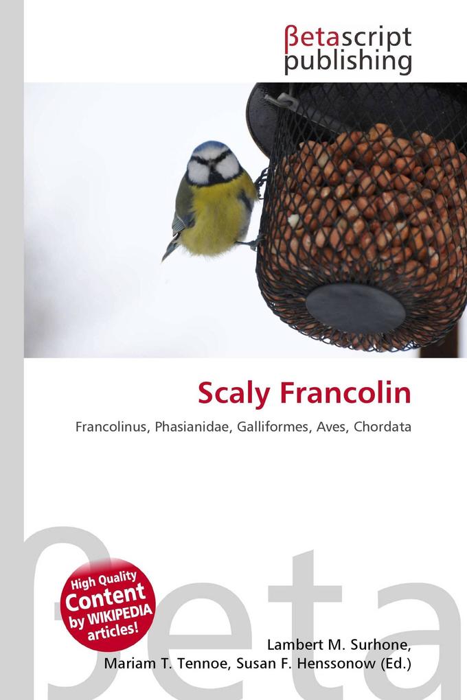 Scaly Francolin