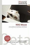 NOG Mouse