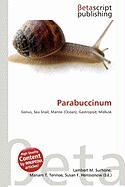 Parabuccinum