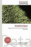 Amphiscirpus