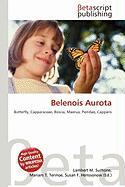 Belenois Aurota