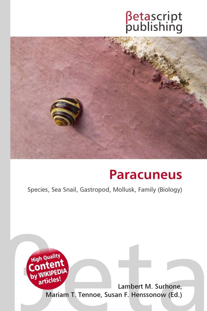 Paracuneus