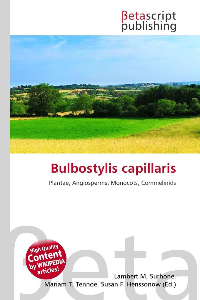 Bulbostylis capillaris