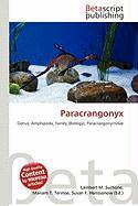 Paracrangonyx
