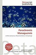 Parachromis Managuensis