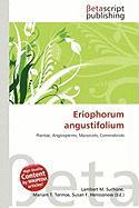 Eriophorum angustifolium