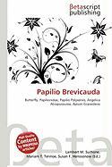 Papilio Brevicauda