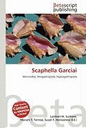 Scaphella Garciai