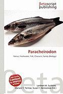 Paracheirodon