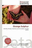 Orange Sulphur