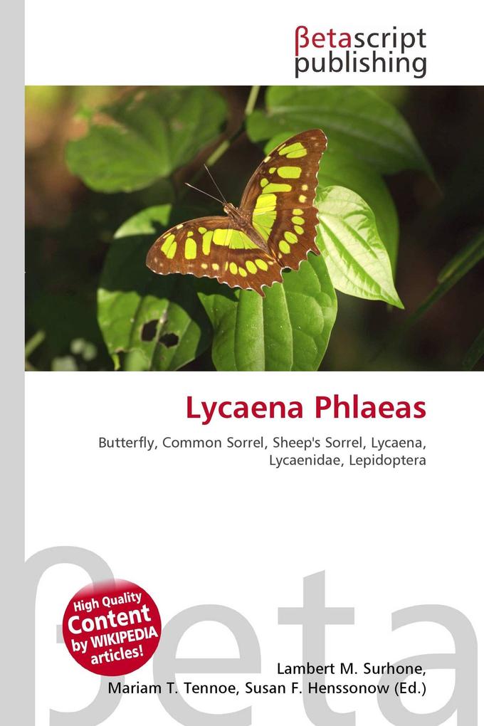 Lycaena Phlaeas