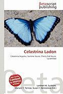 Celastrina Ladon