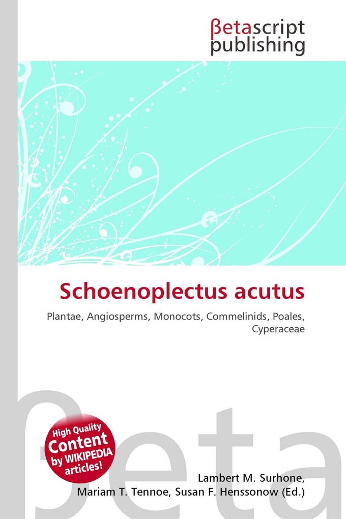 Schoenoplectus acutus