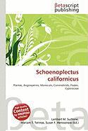 Schoenoplectus californicus
