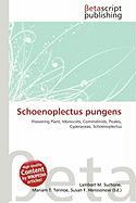 Schoenoplectus pungens