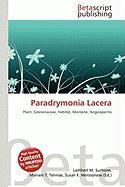 Paradrymonia Lacera
