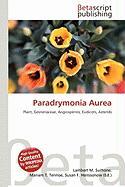 Paradrymonia Aurea