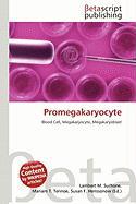Promegakaryocyte