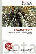 Beccariophoenix