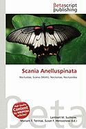 Scania Anelluspinata