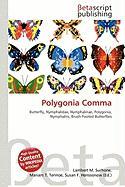 Polygonia Comma