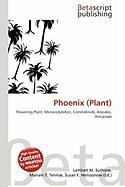 Phoenix (Plant)