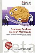 Scanning Confocal Electron Microscopy