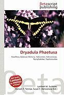 Dryadula Phaetusa