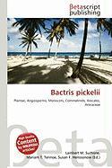 Bactris pickelii