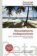 Beccariophoenix madagascariensis