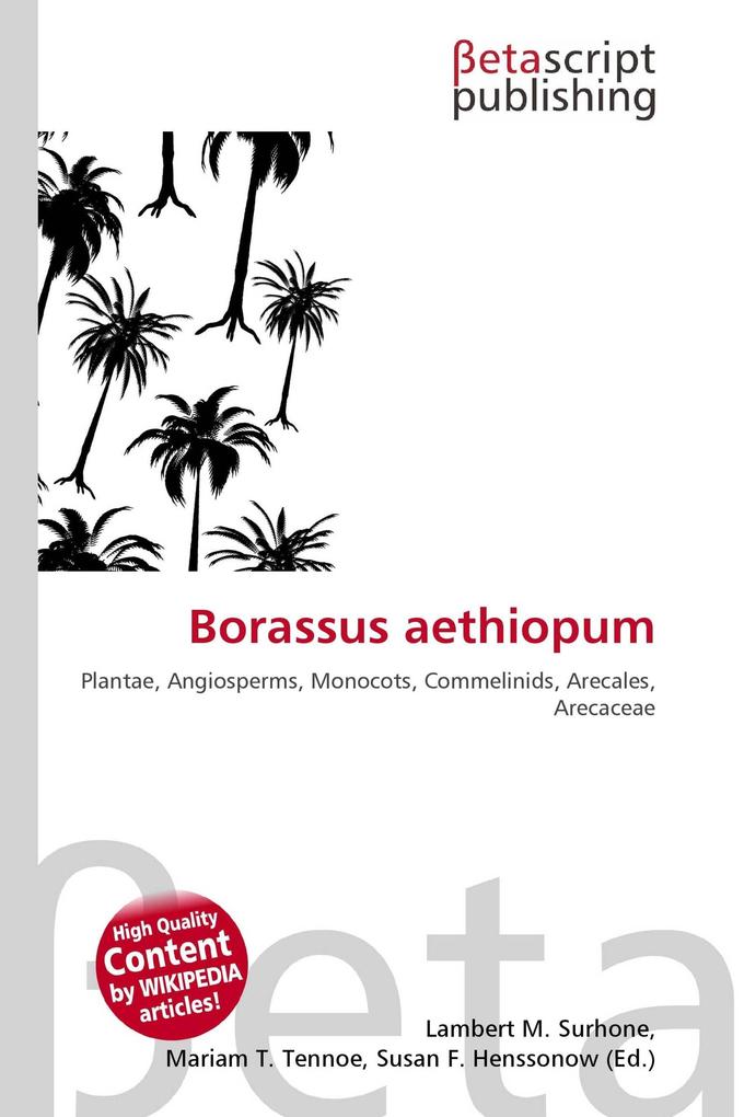 Borassus aethiopum