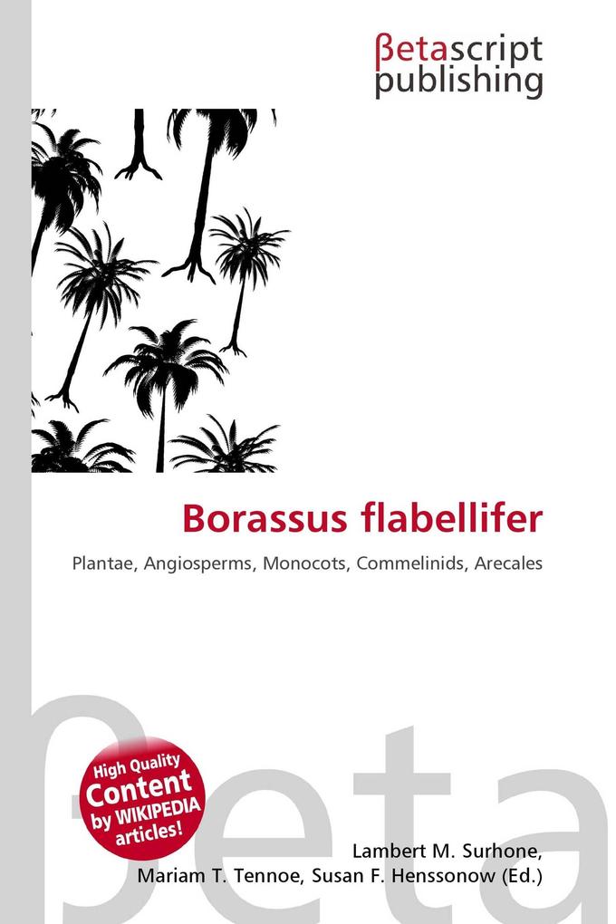 Borassus flabellifer