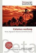 Calamus wailong