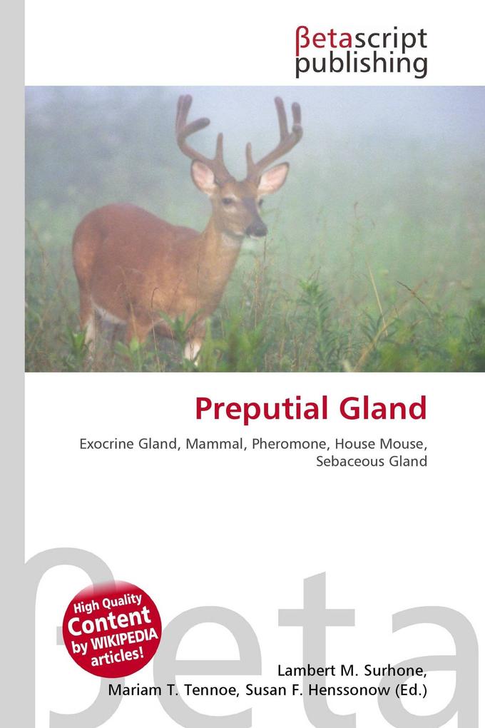 Preputial Gland