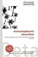 Archontophoenix alexandrae