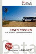 Corypha microclada