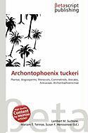 Archontophoenix tuckeri