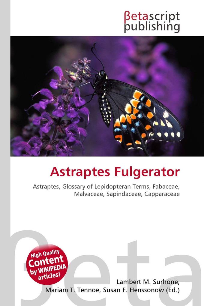 Astraptes Fulgerator