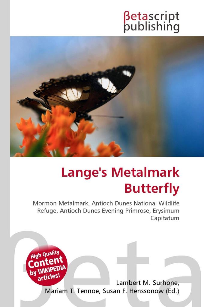 Lange's Metalmark Butterfly