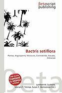 Bactris setiflora
