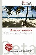 Borassus heineanus