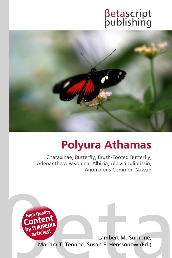 Polyura Athamas