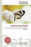 Kallima Horsfieldi