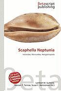 Scaphella Neptunia