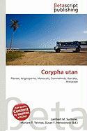 Corypha utan
