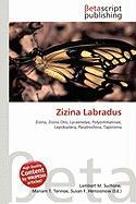 Zizina Labradus