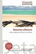 Ravenea albicans