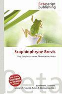 Scaphiophryne Brevis