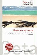Ravenea latisecta