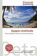 Syagrus stratincola
